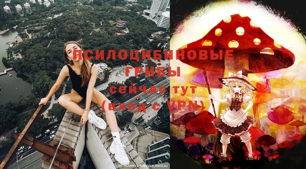 ПСИЛОЦИБИНОВЫЕ ГРИБЫ Бронницы