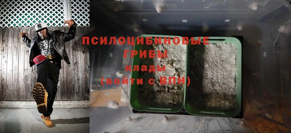 Альфа ПВП Бородино