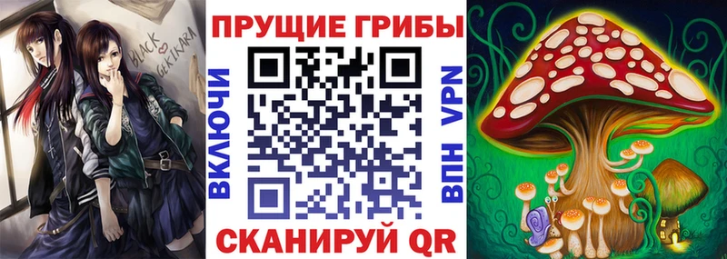 Псилоцибиновые грибы мицелий Рязань